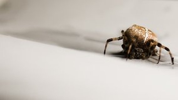 账单分析常见误区：你可能一直理解错了